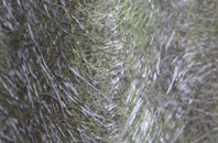 Nailwell fibreglass roof work